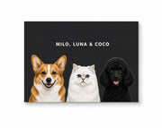 Custom Pet Portrait - 3 Pets