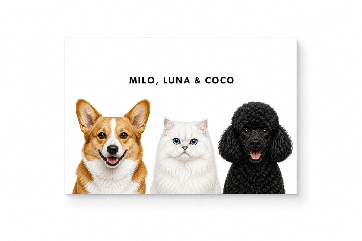 Unframed Art Print of a corgi, white cat and black poodle on white