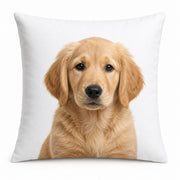 Custom Pillow