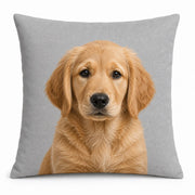 Custom Pillow