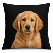 Custom Pillow