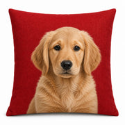 Custom Pillow