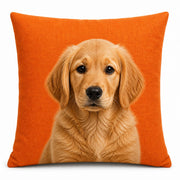 Custom Pillow
