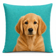 Custom Pillow