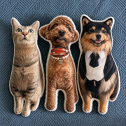 Custom Shaped Pillows