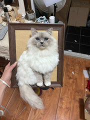 Custom Stuffed Animal - Full Body