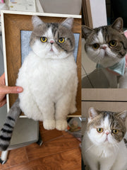 Custom Stuffed Animal - Full Body